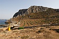 Isola di Favignana-6